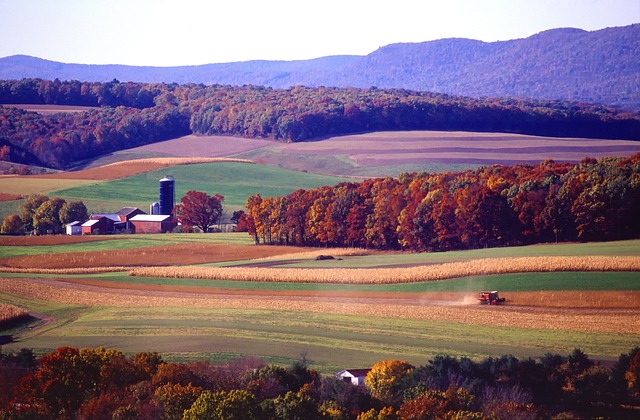 It’s Time To Re-Open Pennsylvania Safely And Responsibly